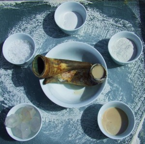 La silice de corne (501)