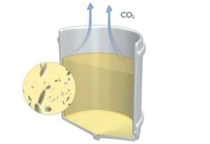 Troisème étape de la vinification d'un vin blanc