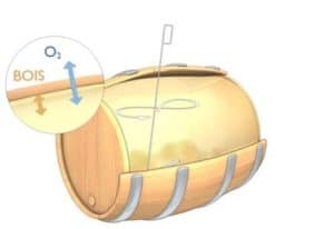 Sixième étape de la vinification d'un vin blanc