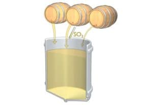 Septième étape de la vinification d'un vin blanc